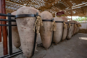 vasijas de pisco en viñedos de ica - perú