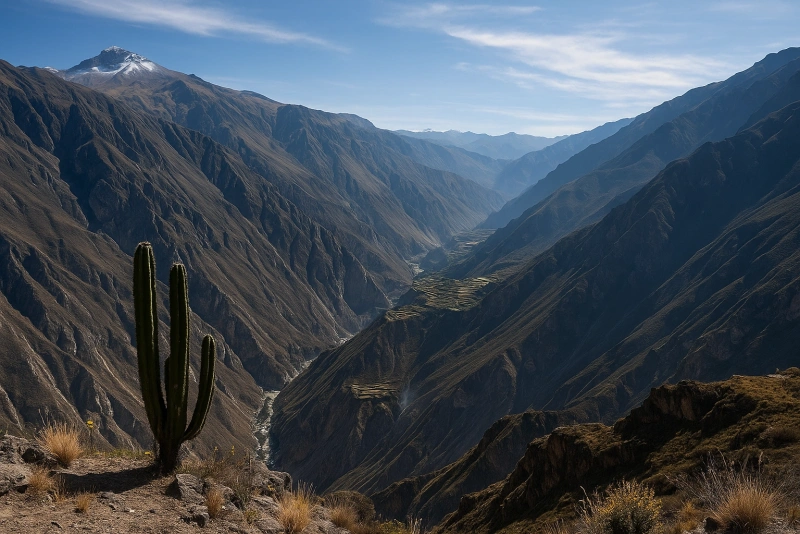 imagen geográfica de arequipa (cañón del colca)