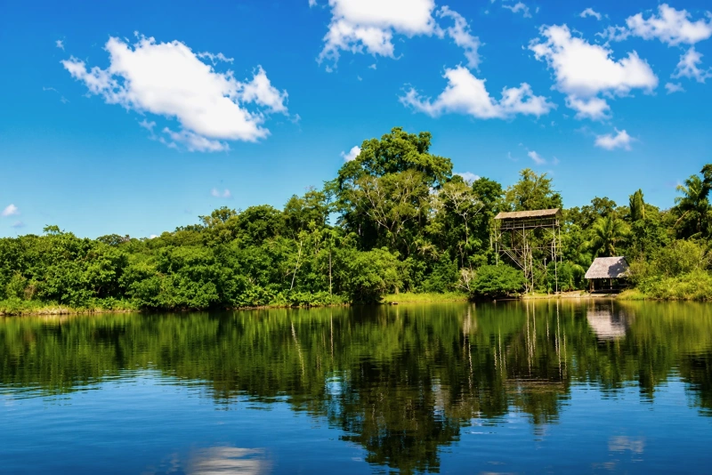 Paisaje mostrando la biodiversidad en Madre de Dios